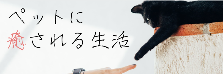 ていねいなくらし